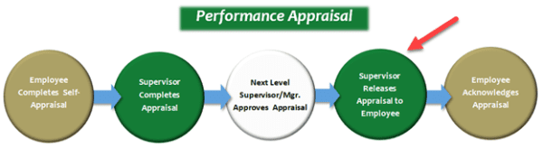 Performance management cycle