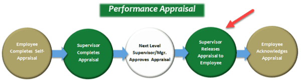 Performance Management graphic